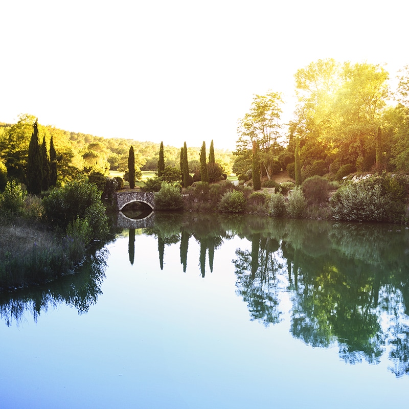 Evènement Golf Resort Terre Blanche 2025
